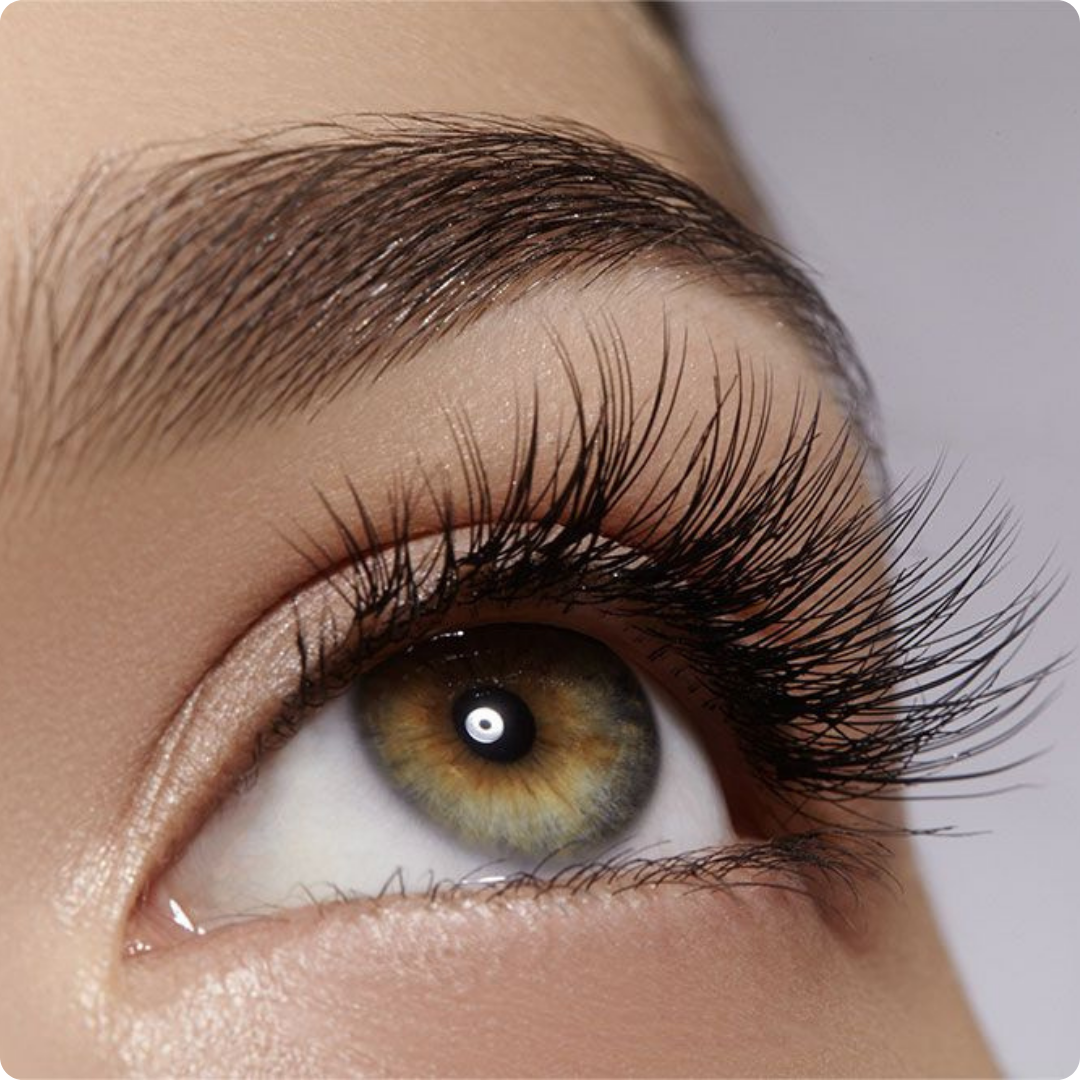 Regard